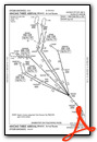 MHOMS THREE (RNAV), CONT.1