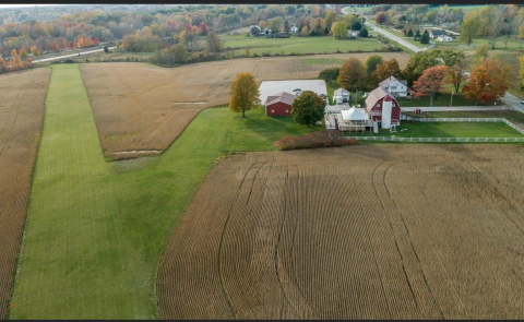 Turf Runway