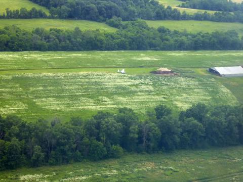 Marsh Creek Airport