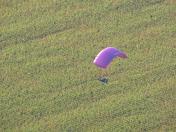 Hang glider landing at Smyrna Airport